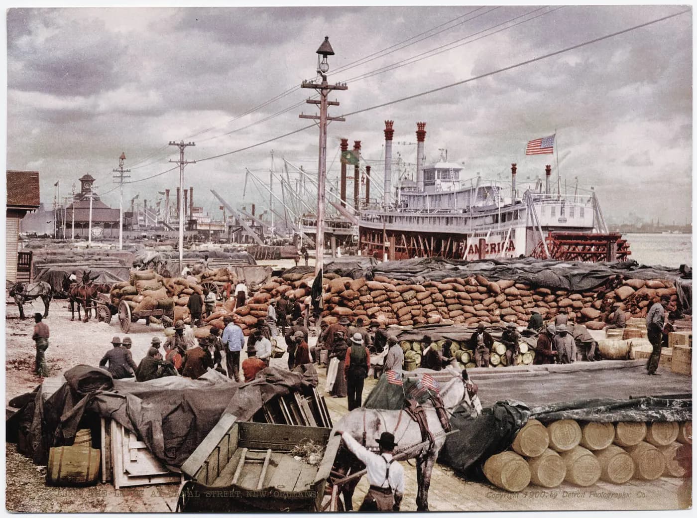 The levee at New Orleans, 1900